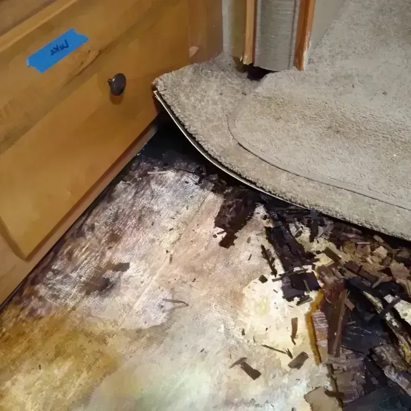 Wood Floor Water Damage in Boulevard Gardens, FL